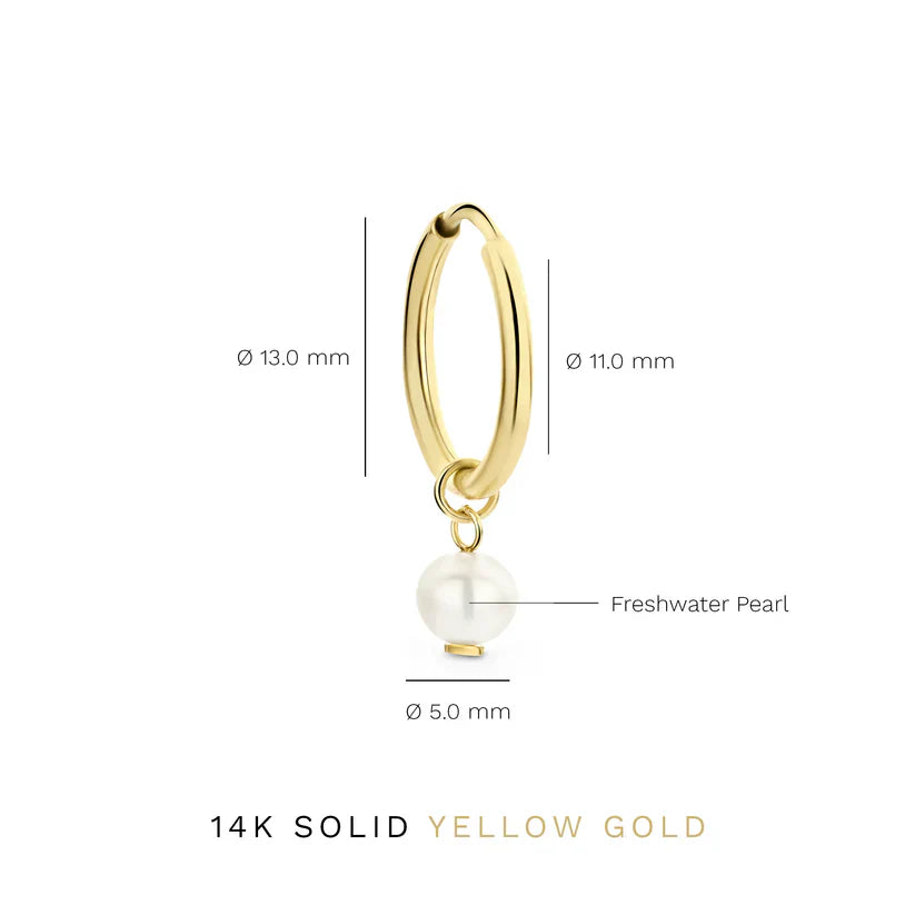 Ohrringe Delia Crest | Gold