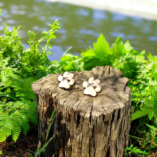 Hypoallergene Pfoten Ohrringe